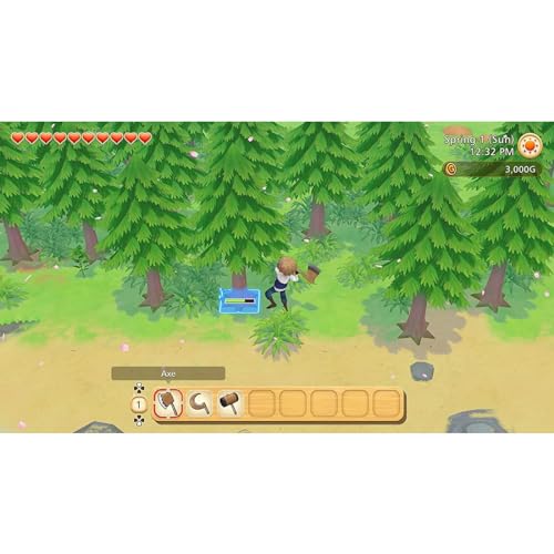 Story of Seasons Pioneers of Town PS4 Neuf - vue 8
