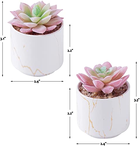 zenmag-Succulents-Plants-Artificial-Mini-Fake-Succulents-in-White-Ceramic-Pots-for-Desk-Livingroom-Bathroom-and-Home-Decoration-Office-Decor-for-Women-Set-of-2-Artificial-Succulents