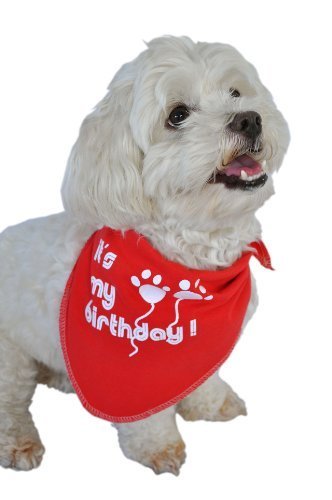 Ruff Ruff and Meow Doggie Bandana, Its My Birthday, Red, Large by Ruff Ruff & Meow