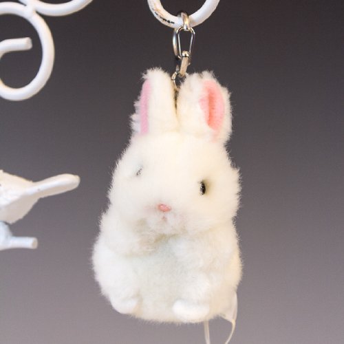 ̂ ~j~jLbY L[z_[ ETM  ʂ 48551