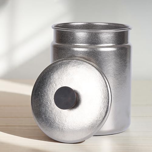 RUNGEAISNI Titanium Tea Canister with Silicone Seal Portable Mini Tea Storage Jar for Home & Travel Multi-Use Airtight Container for Loose Leaf Tea, Spices, Powders RT074T (750ml)