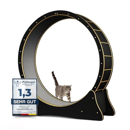 noviclass® Katzenlaufrad Baghira Groß XXL | 132cm Durchmesser Artgerecht für große Katzen...