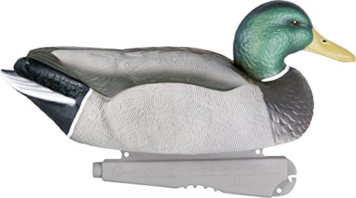 Over-Size Mallards (1/2 Dozen) #TOP1