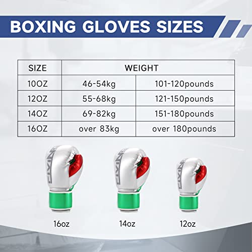 Fiving Pro Boxing Gloves Men & Women, Kickboxing Sparring Training Gloves, Microfiber Leather Muay Thai Mma Glove, Adult Heavy Punching Bag Gloves Mitts Focus Pad Workout #TOP2
