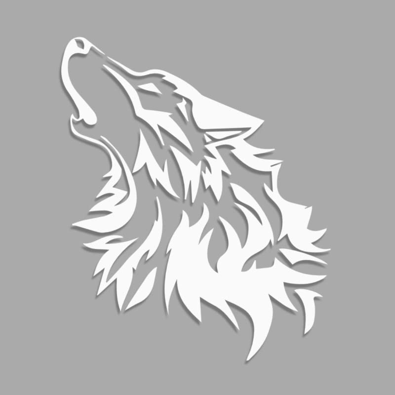 2 Adesivi In Vinile Decus Stupide JDM Style – Dimensioni 60x18 Cm, Colore Bianco, Transfer OEM, Resistenti UV, Made In Germany