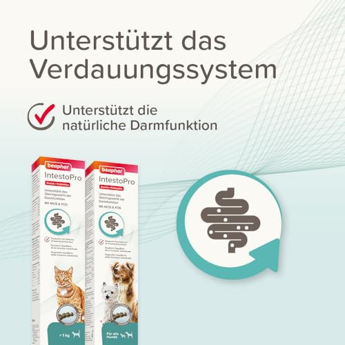 BEAPHAR - IntestoPro Paste Für Hunde - Mit Zeolith - Mit MOS & FOS - Unterstützt Das Gleichgewicht Der Darmfunktion - 2 x 20 ml