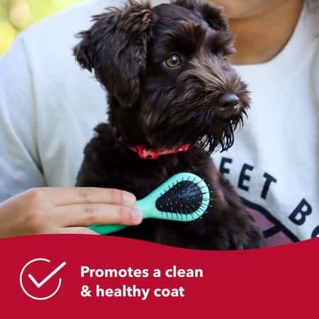 Coastal Pet Li'l Pals Dog Combo Brush - Dog Grooming Brush For Small Dogs - One Size #TOP5