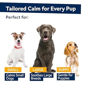 Hemp calming chews for dogs advanced dog calming treats dog calming chews anxiety relief treats separation aid barking stress relief thunderstorms melatonin hemp oil 120ct bacon  urban country home decor