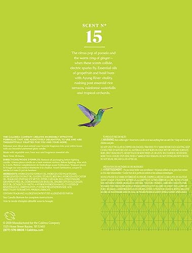 Caldrea - Bougie Ginger Grapefruit Candle - 8.1 oz.