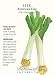 Leek American Flag Seed by Hirts: Seed; Heirloom