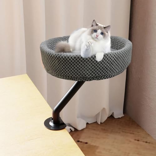 Bureau pour chat et nid rotatif anti stress pour chaton - 6