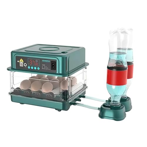Couveuse entièrement automatique, couveuse pour 10/15/24/36 œufs avec retournement automatique des œufs et humidification automatique, couveuse entièrement automatique pour œufs de poulet, caille et