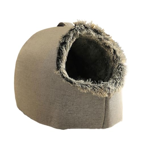 Kȋxexbhʂ݈͂܂ꂽL̑gL̉BƓ~̉gpphybgnEX