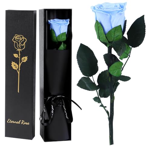 FRFG Rosa Eterna, Rosa Natural Preservada con Tallo Regalos para Mujer, Regalo de Cumpleaños de Aniversario Dia de la Madre Dia de San Valentín para Mamá Novia Mujeres (Azul Claro)