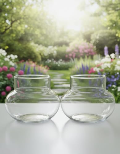Image of Aradhya Enterprises Glass pots for Lucky Bamboo Bowl transperant Glass Bowl (mini Glass Pack 2)