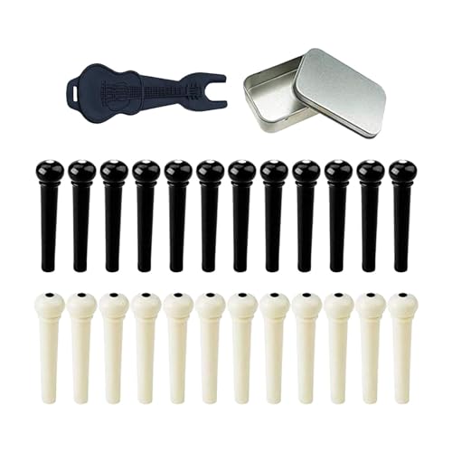 DeeRace 24 ̃M^[ubWsAubWs[o[tAyANZT[AAR[XeBbNM^[pyO