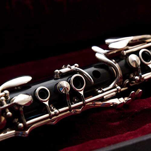 MILISTEN Benodigdheden Voor Klarinetten 28 Stks Klarinet Nek Kurk en Pads Bb Houtblazers Instrument Pads Sax Klarinet Reparatie Accessoires Met Tas Keytar-instrument - Image 5