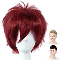 ダークブラウン ショートウィッグ　2個セット ダークブラウン ショートウィッグ 2個セット