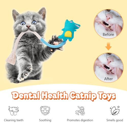 Juguetes para gatos de interior Fantasyon: cuerdas interactivas de hierba para gatitos 6