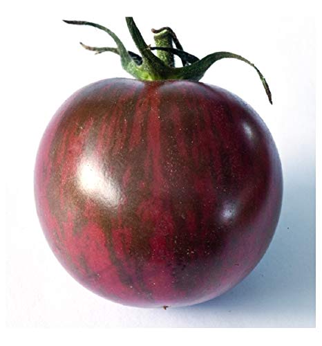 PREMIER SEEDS DIRECT Tomato Cherry - Artisan Purple Bumblebee - 10 Finest Seeds