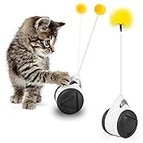 😸【Mehrere Spielmöglichkeiten】Wenn dieses spielzeug für katzen aufgestellt wird, kann es hin und her schwingen, um die Katze zum Spielen zu bewegen. Wenn dieses Katzenminzenspielzeug horizontal platziert wird, kann es sich wie ein Drehteller drehen und das Interesse der Katzen am Spielen wecken.