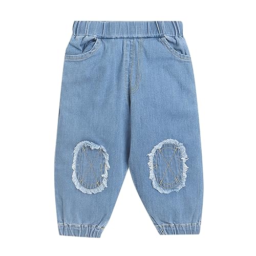 Image of Hopscotch Boys Blue Animal Print Tee, Jacket And Pant Set