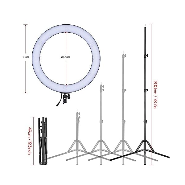 ROM XL 19 Zoll 720 LED Ringlicht mit Ständer 2 m Telefonhalter 3200K-5600K Zweifarbiges dimmbares Streaming-Licht CRI90… – Bild 4
