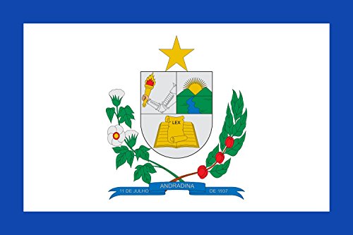 Drapeau Andradina SP grand modèle résistant aux intempéries - 2