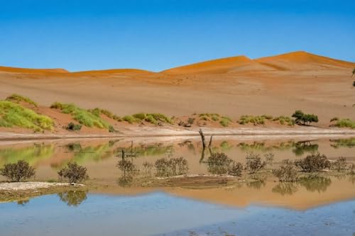 Tableau en bois Namibie 110 x 70 cm décor mural désert du Namib et Vlei Morte