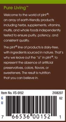 Plnt Raw Honey Natural Sweetener Used As A Substitute For White Sugar, Nongmo, Kosher, Vegetarian (24 Ounces) #TOP2