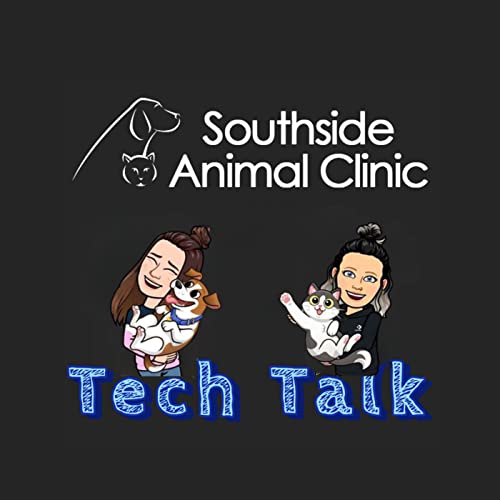 Page de couverture de Tech Talk