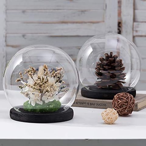 MyGift 15,2 cm Glas-Terrarium & Andenken-Display Globus Glocke mit schwarzem Holzsockel, 2 Stück thumbnail
