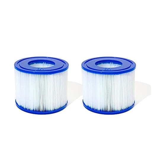 Bestway Filtro para Depuradora (Vi) Piscina Lay-Z-SPA. Pack 2 Unidades