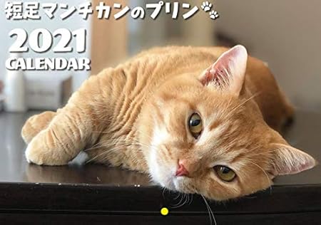 Amazon 予約販売 短足マンチカンのプリン 21年 壁掛けカレンダー Kk カレンダー 文房具 オフィス用品