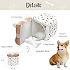 Cheeki-Studios-Present-Plush-Dog-Toys-Birthday-Surprise-Interactive-Gift Birthday Surprise Interactive Gift