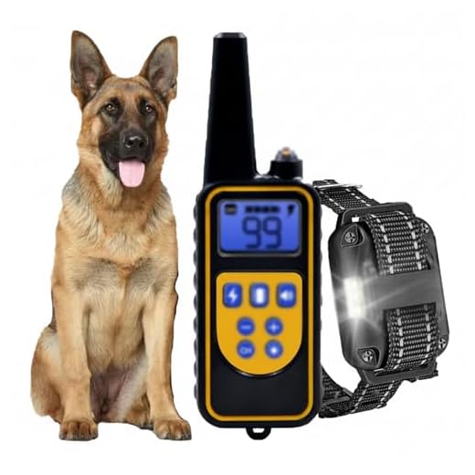 Verstellbares Hundehalsband für Sicherheit
