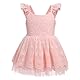 Baby M?dchen Kleid Neugeborenes Taufkleid S?ugling Spitzenkleid Sommer ?rmellos Partykleid 1. Geburtstag Outfit Baumwolle Prinzessin T?t? T?llkleid Festliches Festkleid Abendkleid Rosa 6-12 Monate