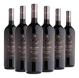 vino tinto argentino finca las moras  Vinos tintos ribera del duero, vinos tintos, vinos, vino para regalar, Callejon del crimen vino argentino