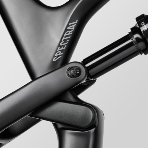 Canyon Spectral 29 CF 8