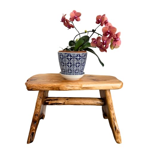 TJ Global Natural Edge Cedar Wood Tree Stump Indoor/Outdoor Stool, Garden Bench, Night Stand, End Table, Plant Stand - L28 x W14 x H17.5