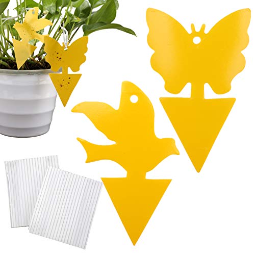 LUTER 60 Trampas Adhesivas Amarillas de Doble Cara para Insectos Voladores de Plantas, Mosquitos de Hongos, Moscas de La Fruta, Mosquitos, Moscas Blancas