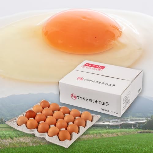 てつやとのりこの玉子 [月2回 × 20個 3ヶ月コース]卵 てつやとのりこの玉子 全6回定期便 AWD012 (15日・30日ごろ出荷)