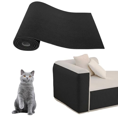 Lifetips ueBbVV[gwA British Shorthair L ܂Ƃh~V[g  ͂ OK ǎی  \t@ hA  Ƌ  h~ \邾 ȒP 唻 Jbg\ cS Ђ΍ یtB L