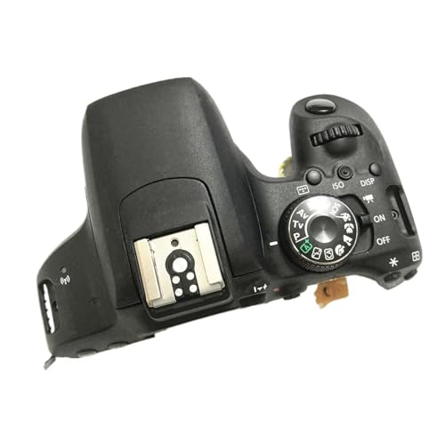 ݊܂Canon EOS 800DpgbvJo[P[XAZuAdXCb`tJi