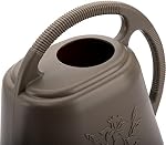 Fasmov 1-Gallon Plastic Watering Can with Comfortable Handle, Garden Watering Cans Long Spout for Indoor Outdoor Watering Plants, Gray