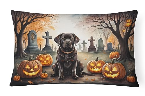 Caroline's Treasures DAC2032PW1216 Chocolate Labrador Retriever Spooky Halloween Fabric Decorative Pillow Machine Washable, Indoor Outdoor Decorative Pillow for Couch, Bed or Patio, 12HX16W