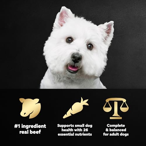 Image of Cesar Small Breed Dry Dog Food for Small Dogs, Porterhouse Flavor and Spring Vegetables Garnish, 5 lb Bag (Pack of 4)