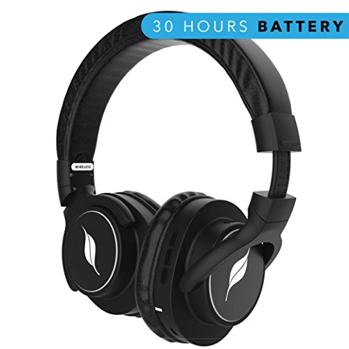 Leaf Beast Wireless Bluetooth 