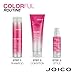 Joico Colorful Anti-Fade Shampoo and Conditioner Set Preserve Hair Color Long-Term Vibrancy For Color-Treated Hair