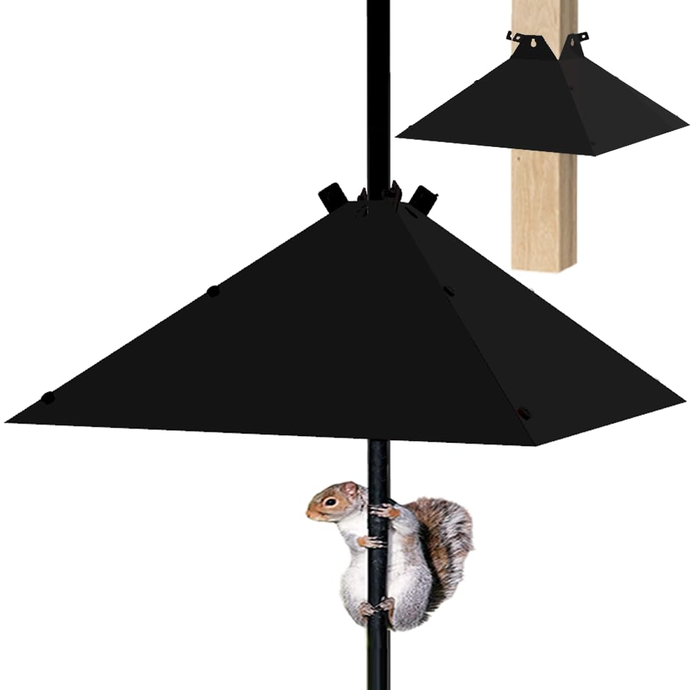 PirateAnt Metal Squirrel Baffle
